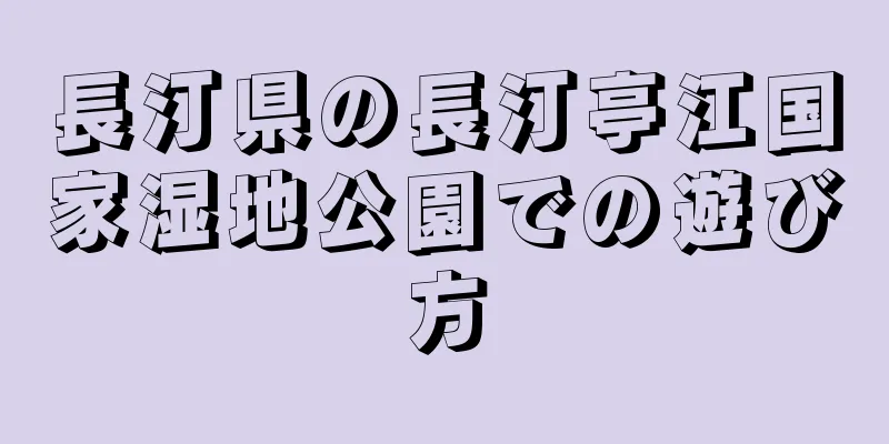 長汀県の長汀亭江国家湿地公園での遊び方