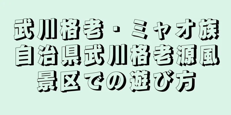 武川格老・ミャオ族自治県武川格老源風景区での遊び方