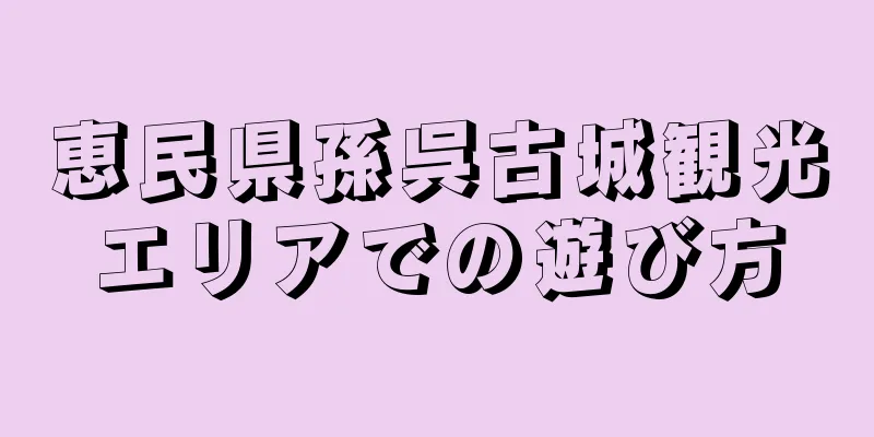 恵民県孫呉古城観光エリアでの遊び方