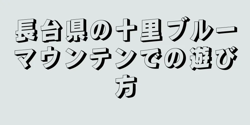 長台県の十里ブルーマウンテンでの遊び方