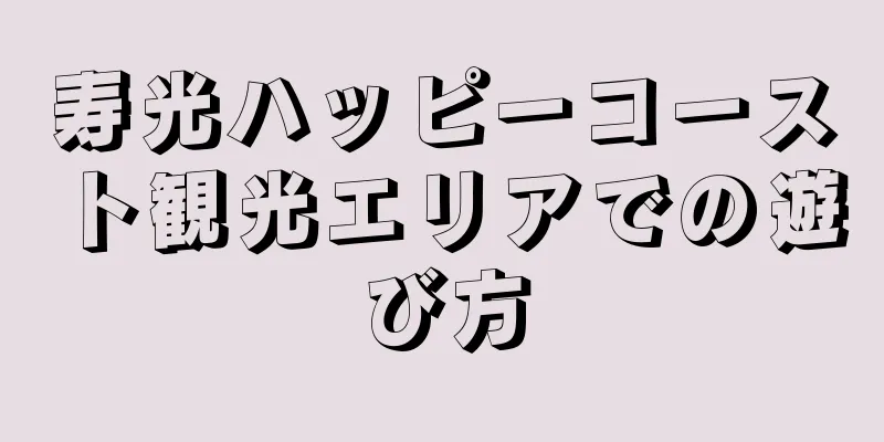 寿光ハッピーコースト観光エリアでの遊び方