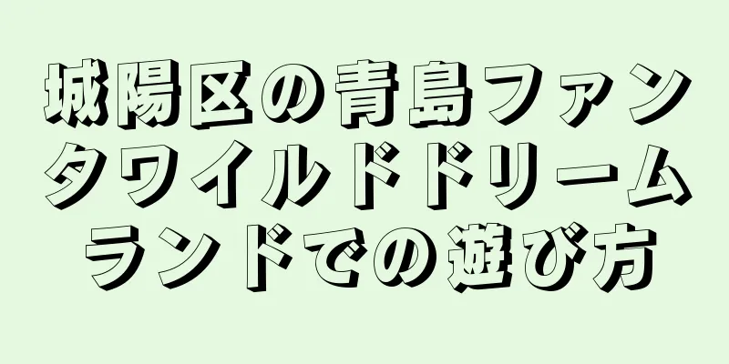 城陽区の青島ファンタワイルドドリームランドでの遊び方