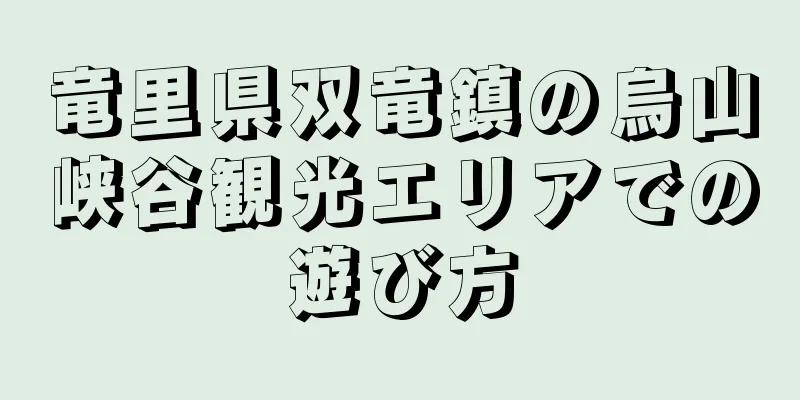 竜里県双竜鎮の烏山峡谷観光エリアでの遊び方