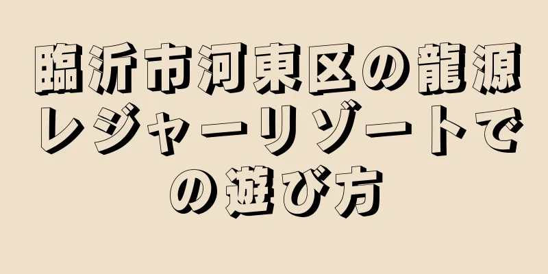 臨沂市河東区の龍源レジャーリゾートでの遊び方