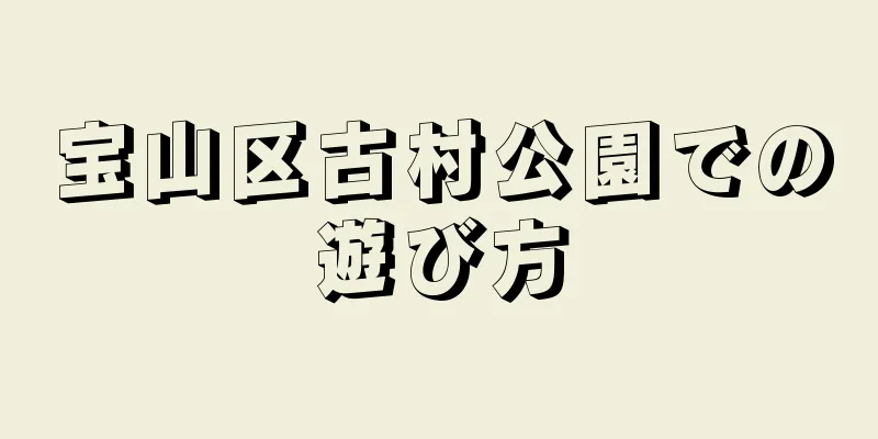宝山区古村公園での遊び方