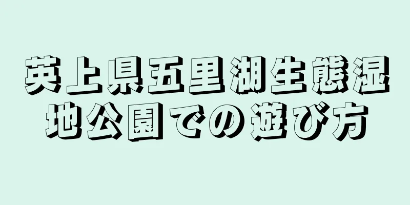 英上県五里湖生態湿地公園での遊び方