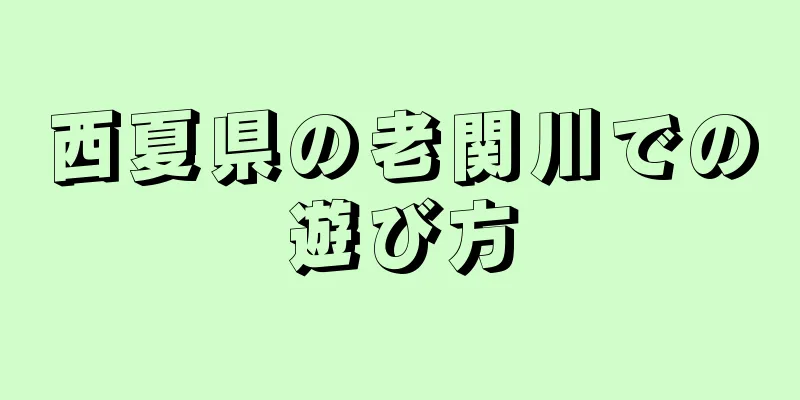 西夏県の老関川での遊び方