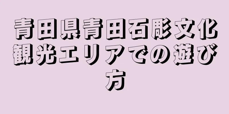 青田県青田石彫文化観光エリアでの遊び方