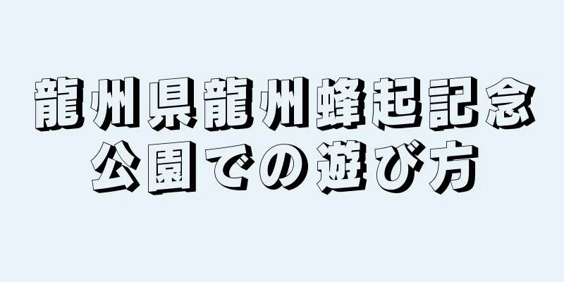 龍州県龍州蜂起記念公園での遊び方