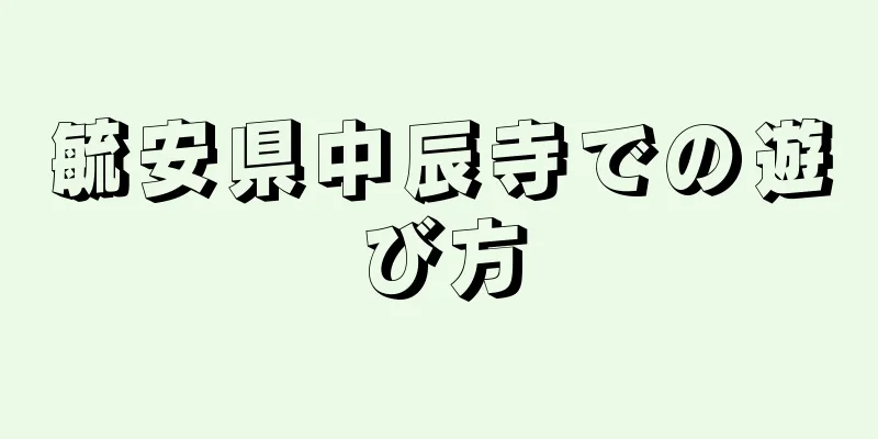 毓安県中辰寺での遊び方