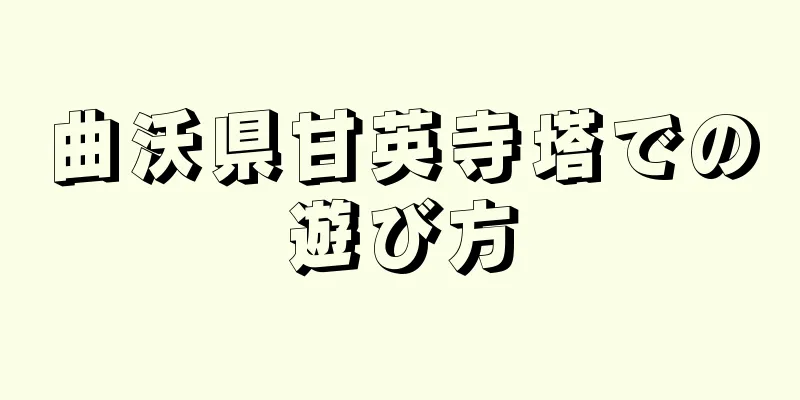 曲沃県甘英寺塔での遊び方