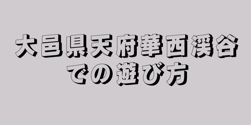 大邑県天府華西渓谷での遊び方