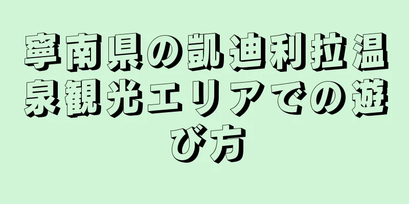 寧南県の凱迪利拉温泉観光エリアでの遊び方