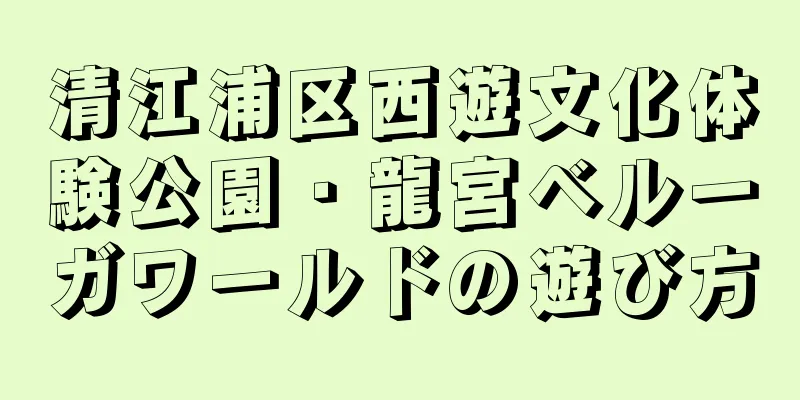 清江浦区西遊文化体験公園・龍宮ベルーガワールドの遊び方