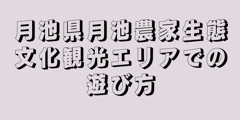 月池県月池農家生態文化観光エリアでの遊び方