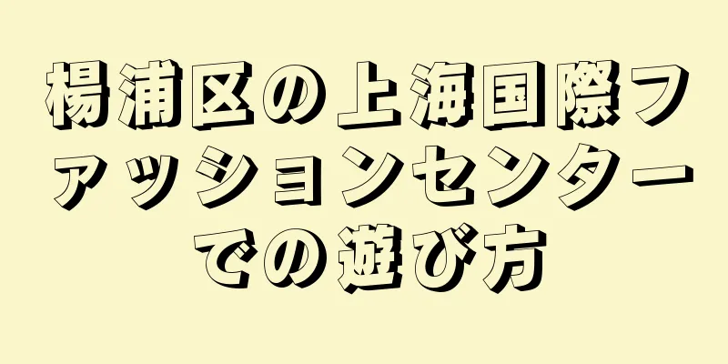 楊浦区の上海国際ファッションセンターでの遊び方