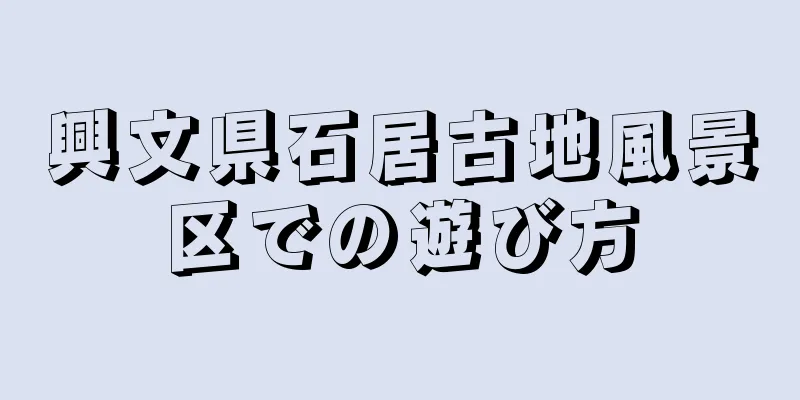 興文県石居古地風景区での遊び方