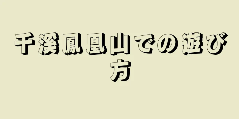 千溪鳳凰山での遊び方