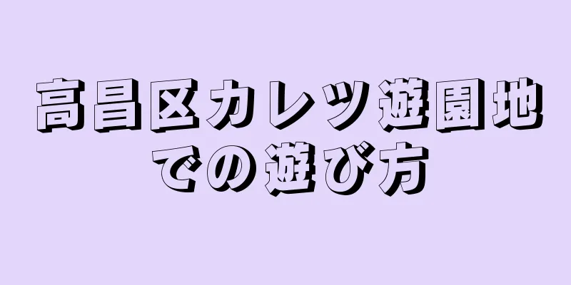 高昌区カレツ遊園地での遊び方
