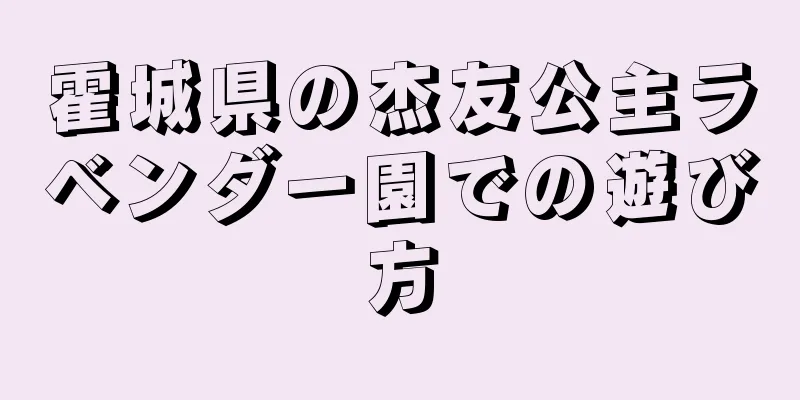 霍城県の杰友公主ラベンダー園での遊び方