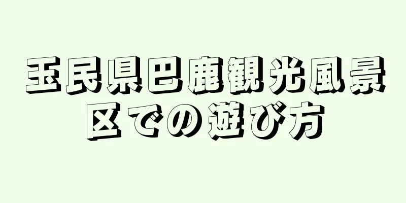玉民県巴鹿観光風景区での遊び方