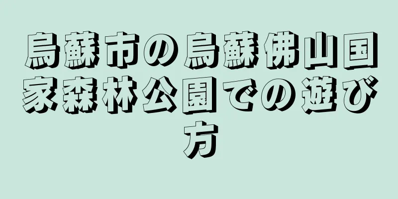 烏蘇市の烏蘇佛山国家森林公園での遊び方