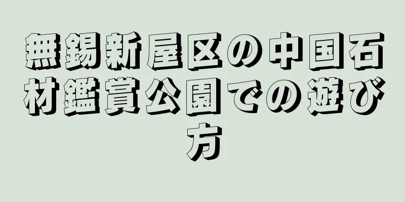 無錫新屋区の中国石材鑑賞公園での遊び方
