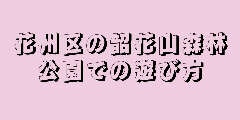 花州区の韶花山森林公園での遊び方