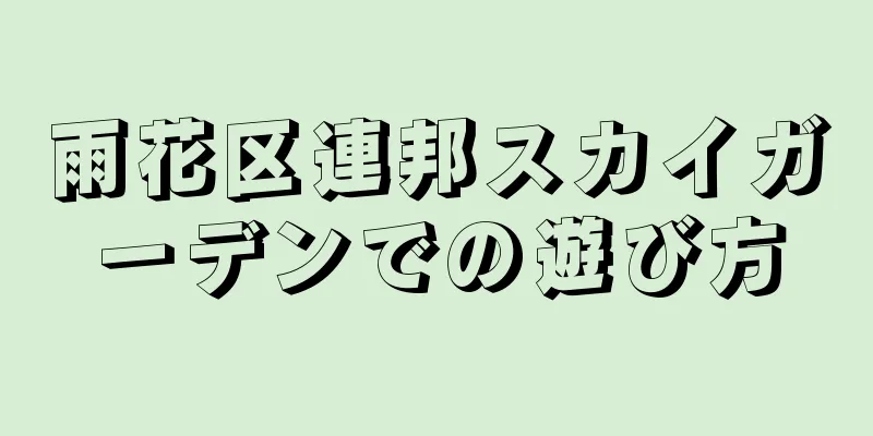 雨花区連邦スカイガーデンでの遊び方