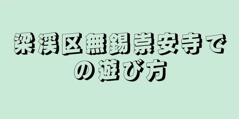 梁渓区無錫崇安寺での遊び方