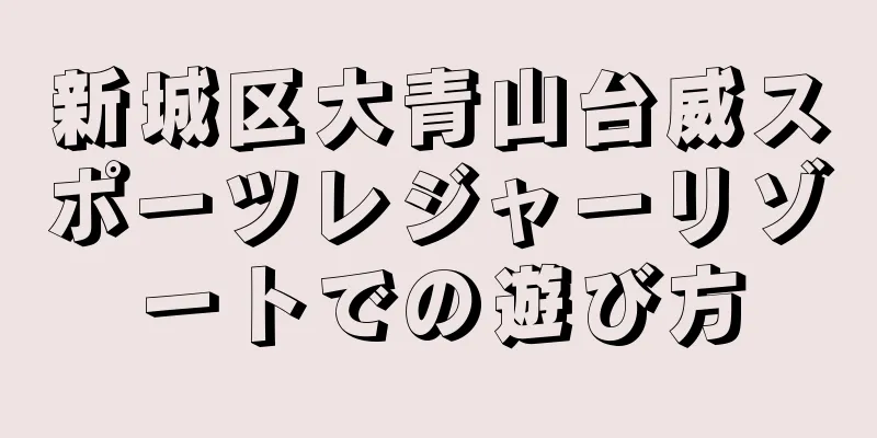 新城区大青山台威スポーツレジャーリゾートでの遊び方