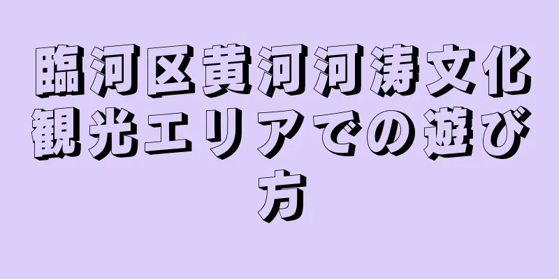 臨河区黄河河涛文化観光エリアでの遊び方