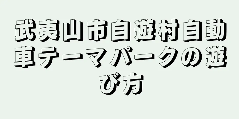 武夷山市自遊村自動車テーマパークの遊び方