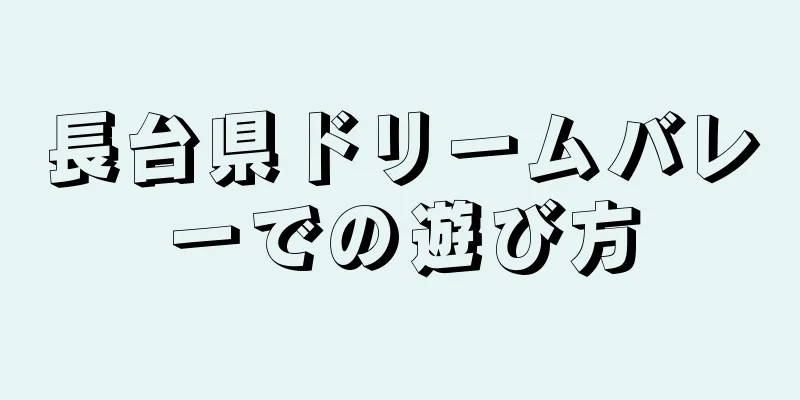 長台県ドリームバレーでの遊び方