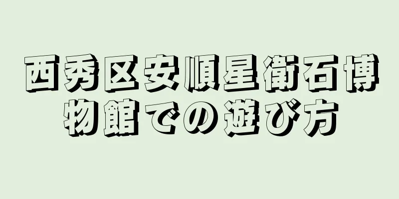 西秀区安順星衛石博物館での遊び方