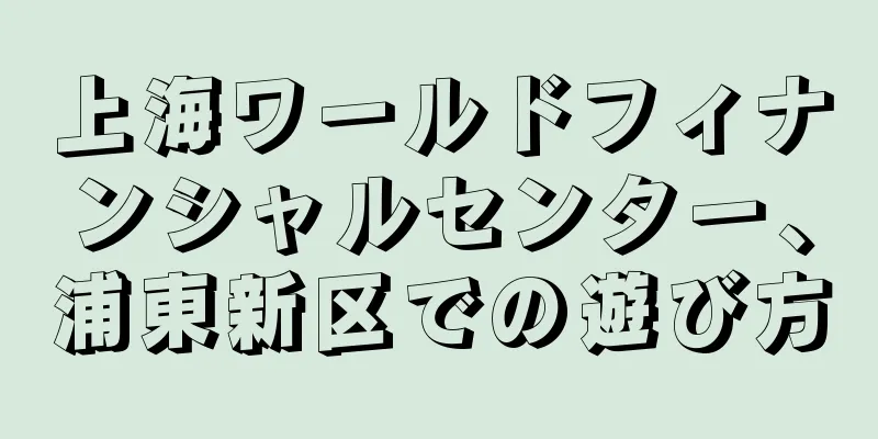 上海ワールドフィナンシャルセンター、浦東新区での遊び方