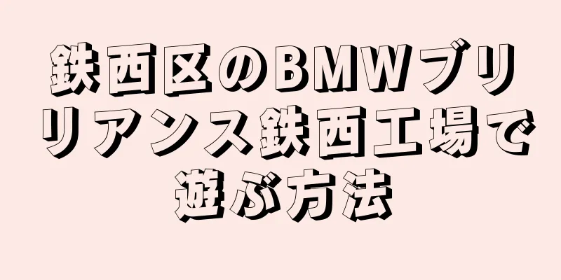 鉄西区のBMWブリリアンス鉄西工場で遊ぶ方法