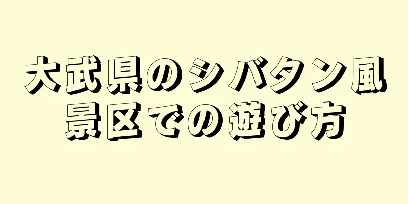 大武県のシバタン風景区での遊び方