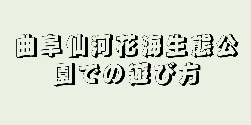 曲阜仙河花海生態公園での遊び方