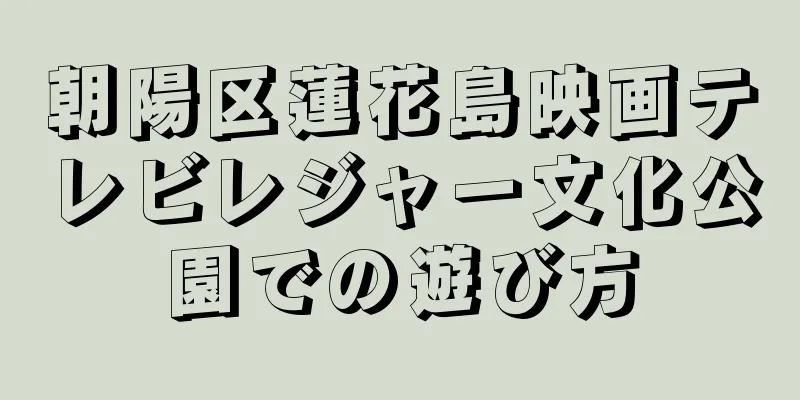 朝陽区蓮花島映画テレビレジャー文化公園での遊び方