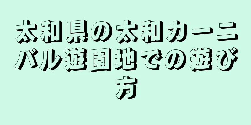 太和県の太和カーニバル遊園地での遊び方