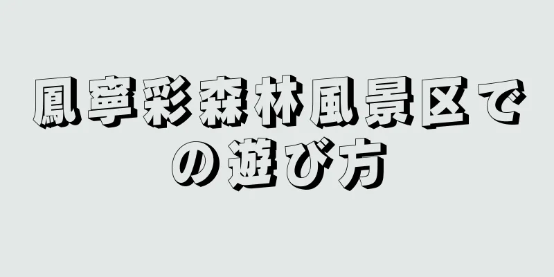 鳳寧彩森林風景区での遊び方