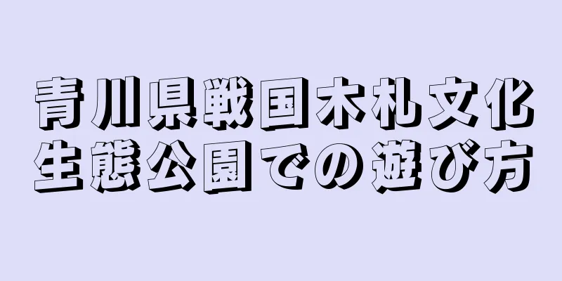 青川県戦国木札文化生態公園での遊び方