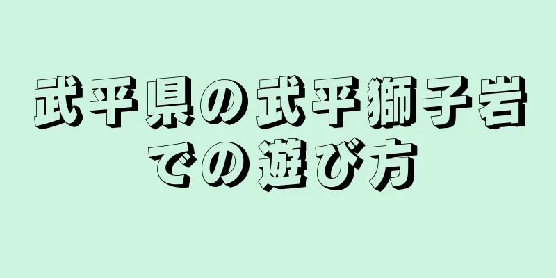 武平県の武平獅子岩での遊び方
