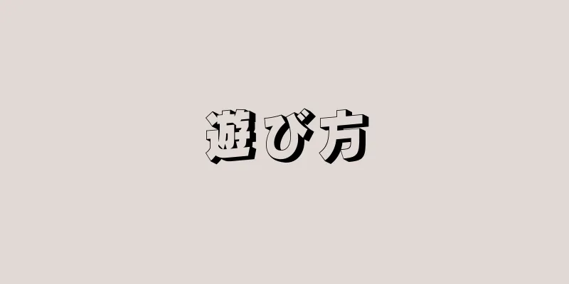 遊び方