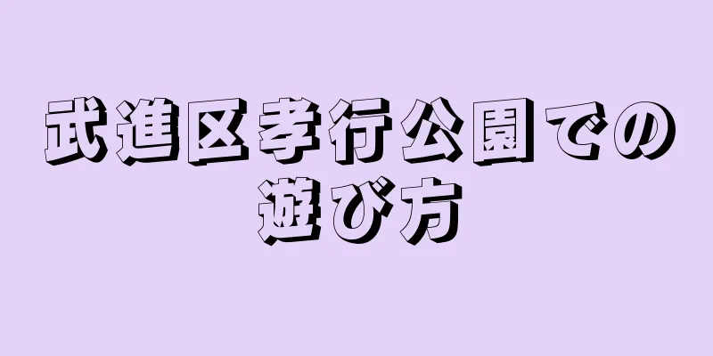 武進区孝行公園での遊び方