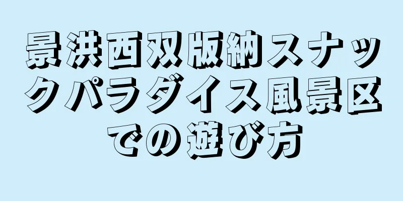 景洪西双版納スナックパラダイス風景区での遊び方