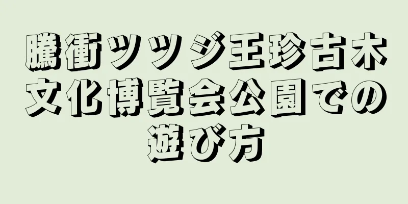 騰衝ツツジ王珍古木文化博覧会公園での遊び方