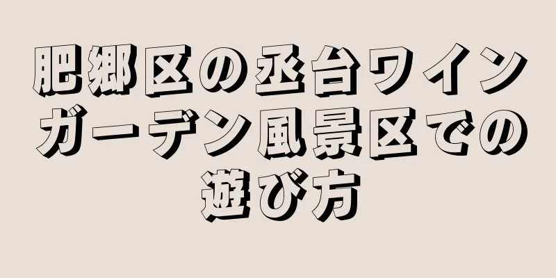 肥郷区の丞台ワインガーデン風景区での遊び方
