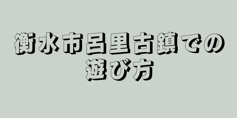衡水市呂里古鎮での遊び方